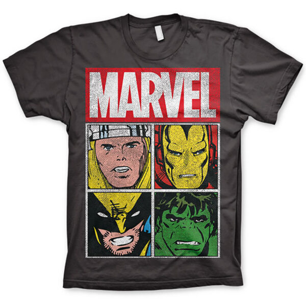 Koksgrå Marvel Characters T-shirt